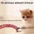 Imagem do Cobra Elétrica Para Gatos Brinquedo Pet Sensor Inteligente Caça Interativos An