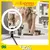 Ring Light Iluminador LED 20cm 8 Polegadas com Tripé de Mesa e Suporte para Celular na internet