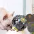 Brinquedo Pet Bola de Comida Brinquedo Mordida Recheável - loja online