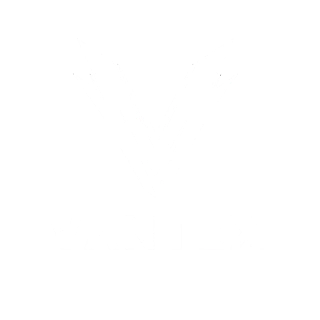 VANTEX