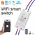 Interruptor Inteligente Wi-Fi Tuya – Controlador Sem Fio com Temporizador, Compatível com Luzes LED, Alexa e Google Home
