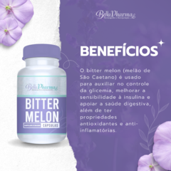 Bitter Melon (melão De São Caetano) 500mg na internet