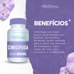 CIMICIFUGA 80MG na internet