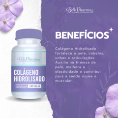 COLAGENO HIDROLISADO 500MG na internet