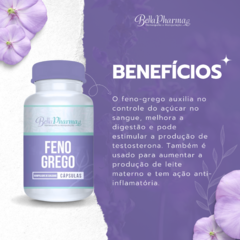 Feno Grego 500mg na internet