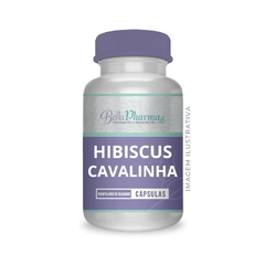 Cavalinha + Hibiscus - comprar online