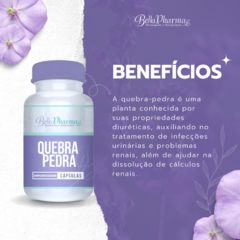 QUEBRA PEDRA 500mg SAÚDE DOS RINS na internet