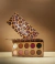 Paleta de Sombras Angel Classics by Pri Lessa Catharine Hill 20g