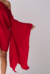 Imagem do THE STAR DRESS cherry