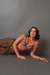 Zebra underwear - loja online