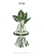 Camiseta regue suas plantas na internet