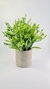 PLANTA CON MACETA
