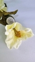 FLORES MAGNOLIA - comprar online