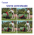 Coche Peg Perego Veloce Liviano Compacto - Creciendo