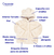 Saco Bear Creciendo Para Bebés Niños Piel Con Capucha - comprar online
