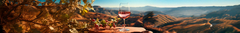 Banner da categoria Vinho Rosé