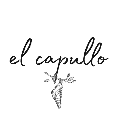 el capullo