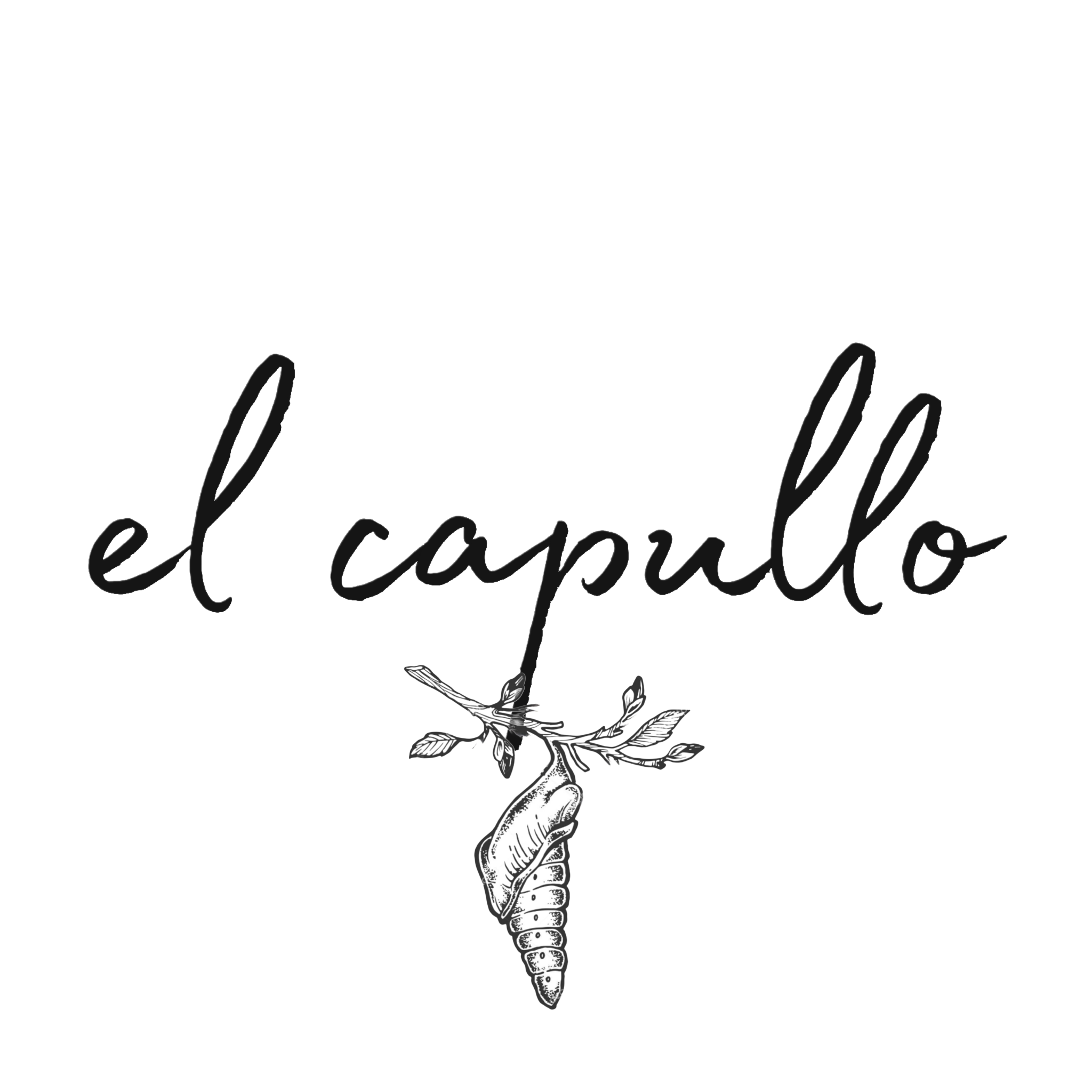 el capullo