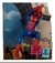 Mc Farlane Marvel Figura 18cm Articulado The Amazing Spiderm - Elcuraysustesoros