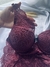 Conjunto apaixonante na internet