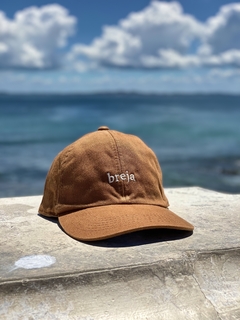 BONÉ DAD HAT - BREJA - comprar online