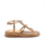 Papete Animal Glan Ferrucci