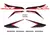 Kit Calcos Honda Xr 150 L 2015-2017 simil original print en internet