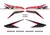 Imagen de Kit Calcos Honda Xr 150 L 2015-2017 simil original print