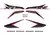Kit Calcos Honda Xr 150 L 2015-2017 simil original print en internet