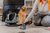Extratora Higienizadora Portátil WAP Spot Cleaner 127V W2 na internet