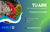 Banner de Debut Oficial