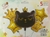 Set de Globos Gatita Negra