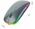 Mouse Sem Fio Luz LED-CINZA - IA Connect Store