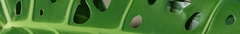 Banner de la categoría Monstera: diseño natural en cada hoja.