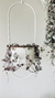 Ceropegia Woodii en maceta colgante - CONPLANTA.COM