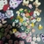 Kit para fundas de charms - Bokumidoriya