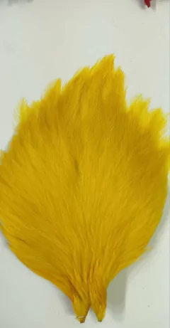 Imagen de CUELLOS DE GALLO DOMESTICO