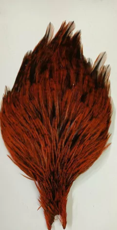 CUELLOS DE GALLO DOMESTICO - Jorge Fishing Fly