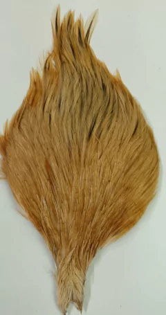 CUELLOS DE GALLO DOMESTICO - comprar online