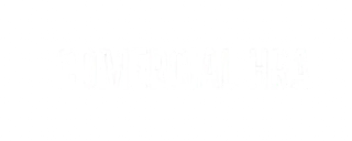 COMERCIALIZADORA HERMANOS RAMIREZ Y AGUILAR