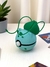 Pokébola Bulbassauro