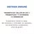 PROBIOLIFE DEFENSE Probióticos + Prebióticos +Vitaminas complejo B + Vitamina A, C, D, E + Minerales - comprar online