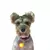 Pingente Brilhante Led luz Premium Para Coleira Cães Gatos - comprar online