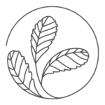 Valeria Trapaga, Matelier