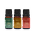 Kit 3 Essências - BAMBOO DREAMS - VANILLA - CEREJA & AVELÃ - comprar online