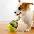 BRINQUEDO INTERATIVO PARA CÃES COM DISPENSER PARA PETISCO/RAÇÃO - VERDE - holybox.