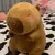 Capivara de pelúcia na internet