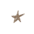 Starpard - comprar en línea