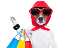 Banner for category Pet Shop