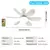 Image of Ceiling fan with base and LED night lights